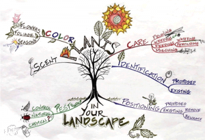 mind_map_image