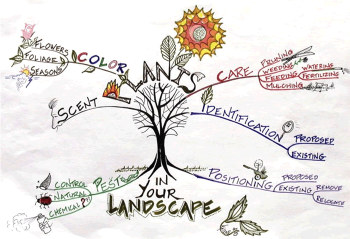 Image of a hand drawn illustration of a mind map